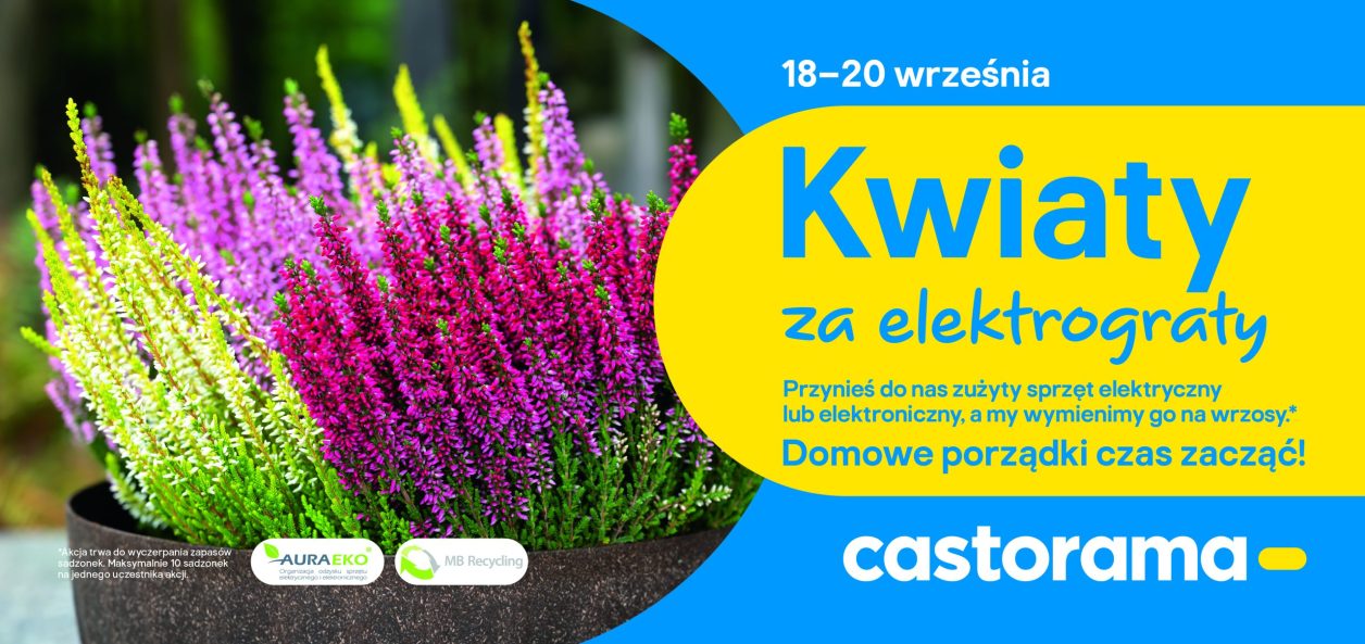 Wrzosy za elektrośmieci