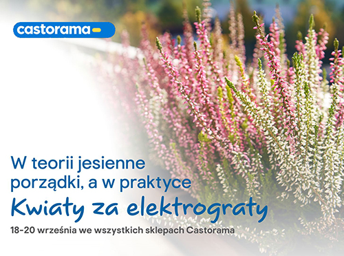 Kwiaty za elektrograty w castorama